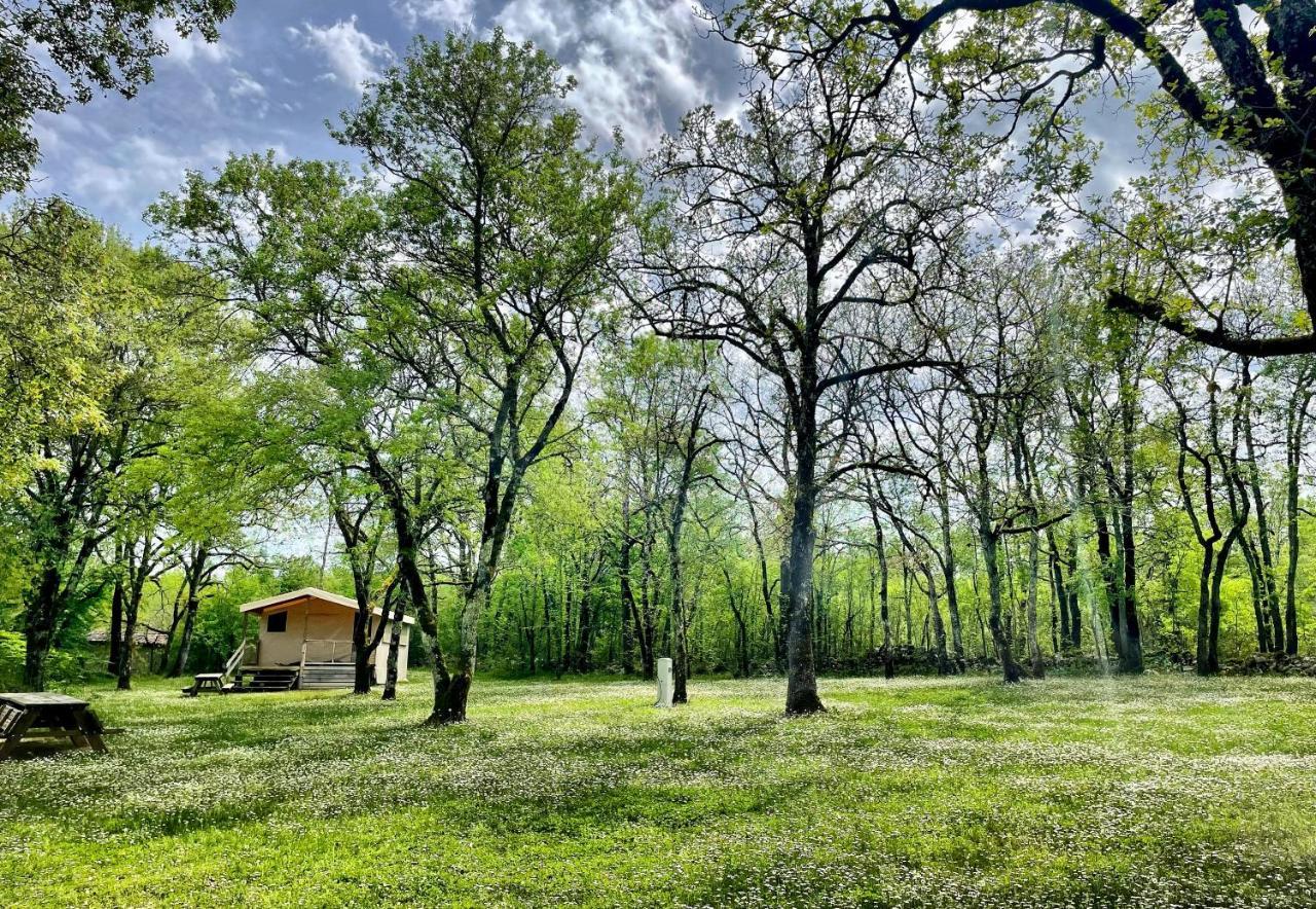 Lodges Du Bois Dodo - Ancien Camping De Bois Redon Septfonds المظهر الخارجي الصورة